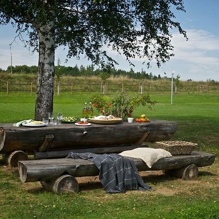 Statek Topelec Appartman I Appartement Písek Buitenkant foto